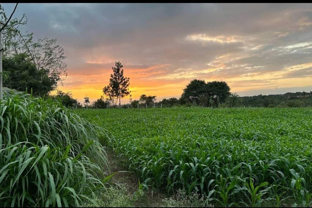 Sattva Farmstay Bangalore Exteriör bild