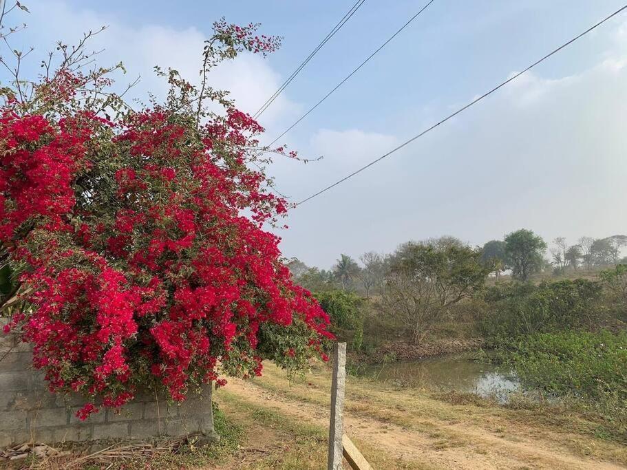 Sattva Farmstay Bangalore Exteriör bild
